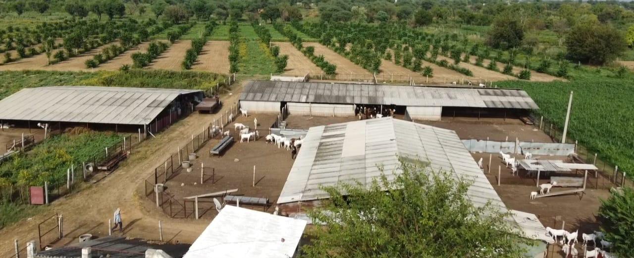 Sardar Farm no2